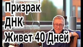 Фантом - Призрак ДНК Живет 40 Дней Открытие Петра Гаряева.