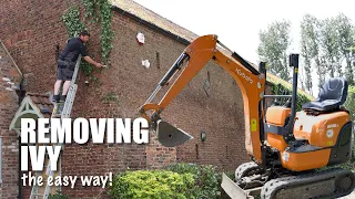 Remove Ivy From a Building - Great Tips & Tricks | Renovate Project