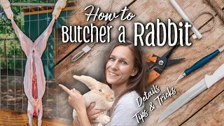 How to Butcher a Rabbit - Details + Tips & Tricks | Creme d'Argent meat rabbits