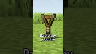 Pomysły, które mogą być w Minecraft PROCA #shorts