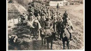 WWI Australian Light Horse on Western Front