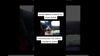 Лучшее из Tik Tok МОРГЕНШТЕРН,ЕГОР КРИД,ВАЛЯ КАРНАВАЛ,ЕГОР ШИП, ДАНЯ МИЛОХИН,ЮЛЯ ГАВРИЛИНА,ИВАН ЗОЛО