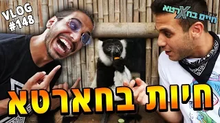 חיות בחארטא