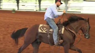 Brandon Cullins Fix a Ducking Horse