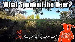 Crossbow Hunt from the Ground--Opening Day of Pennsylvania VLOG