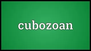 Cubozoan Meaning