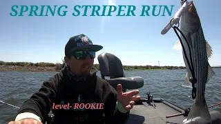 Striper Fishing the California Delta | Learning the Hard way SPRING STRIPER RUN