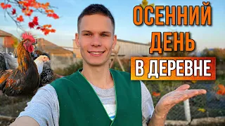 Новости на ферме👨‍🌾Павлины,Утки,Куры | ВАЖНЫЕ ПРОЦЕДУРЫ ПТИЦ В ОСЕННИЙ ПЕРИОД | Подготовка теплицы