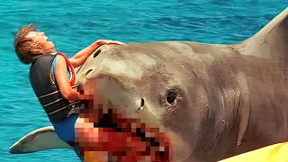 10 Worst GREAT WHITE SHARK Attacks