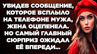 Увидев сообщение, которое всплыло на телефоне мужа, жена обомлела. Но самый главный сюрприз...