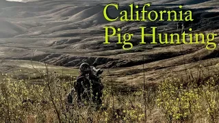 Southern California Pig HUNTING!