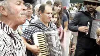 Despique Festa da Castanha Curral das Freiras