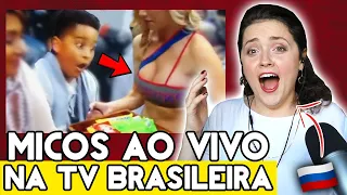 MICOS AO VIVO na TV BRASILEIRA MAIS INACREDITÁVEIS! 🤣 REAÇÃO