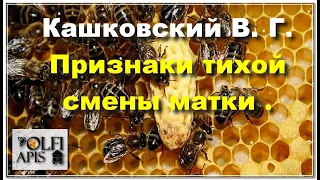 #Кашковский В. Г. Признаки тихой смены матки .