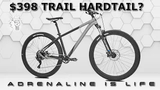 Is This Cheap Hardtail MTB Worth it?| A Look at the Kent Trouvaille 29er Mountain Bike