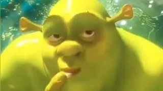 SHREK RIZZ MEMES for 8 minutes straight