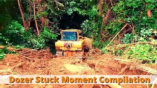 The Ridiculous Incident in The Jungle When The Dozer Works - Bulldozer Mountain Compilation