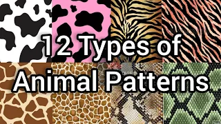 Different types of animals patterns with names || interior solutions || animal textures​ ||