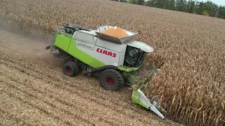 Claas Lexion 600 při sklizni kukuřice na zrno | ZD Újezd 2022 🌽🌽