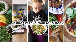 1 WEEK OF RESCUE FOOD // cooking vegan meals with anti-food waste ingredients