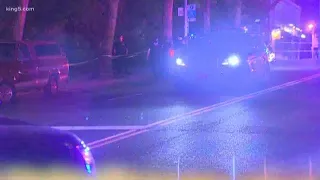 Suspect in custody after large fight and shooting near Seattle Center