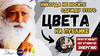 ОПАСНОСТЬ!! | Никогда не носите эту цветную одежду на публике, особенно женщины | Садхгуру