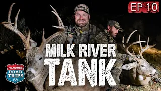 Giant Milk River Whitetail | Surviving EHD  | Realtree Road Trips