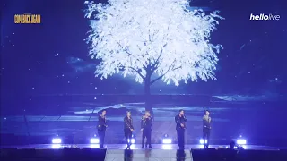 INFINITE 'Tell Me' [Comeback Again in Seoul]