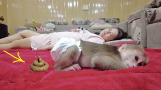 So Smart, Baby Monkey Kiti even knows how to wake up his mother to change her diaper
