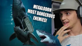 6 Most Dangerous Megalodon Enemies *THAT EVER EXISTED*