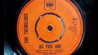 Northern - THE TREMELOES - As You Are - CBS 3234 - UK 1967 Soul Dancer Cool