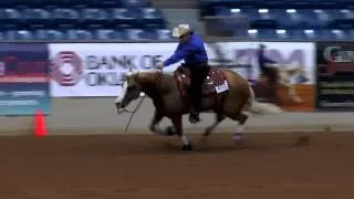 Wimpys Little Freckl ridden by Peter DeFreitas - 2014 Tulsa Reining Classic (Open Derby)