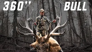 Bowhunting A Wyoming 360" Bull Elk - A HUNT OF A LIFETIME