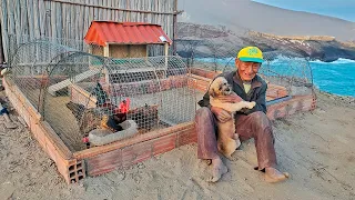 50 años VIVIENDO SOLO en orilla del Mar, feliz con PERRO Y GALLINAS - Tío Adrián