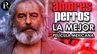 Amores perros : Analysis and explanation | Video Essay