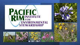 Pacific Northwest native wildflowers production at Pacific Rim Institute