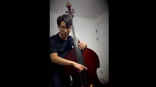 Let it be - beatles (Double Bass)