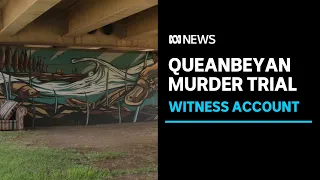 Homeless witness tells murder trial he saw friend brutally bashed under a bridge | ABC News