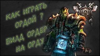 Как Играть за Орду ? Билд Ордер на Орду │Гайд WarCraft 3│