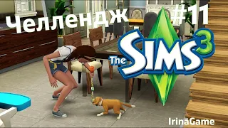 The Sims 3 Челлендж "Детский дом" / Семья Кондон ➛ 11 серия: Энергетический коктейль