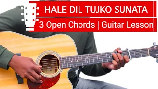 Hale Dil Tujhko Sunata - Low Scale | 3 Open Chords | Easy To Sing Guitar Lesson