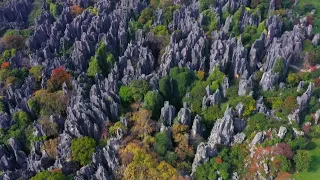China in Its Natural Glory: A colorful view in Yunnan's Stone Forest