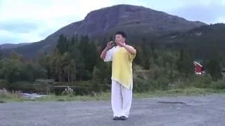 形意拳五行 Xingyiquan Five- 黃連順 示例