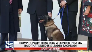 US President Donald Trump honors Conan "Dog Hero" that chased down al Baghdadi