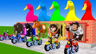 5 Giant Duck, Monkey, Piglet, chicken, dog, lion, cow, Sheep, Transfiguration funny animal 2024