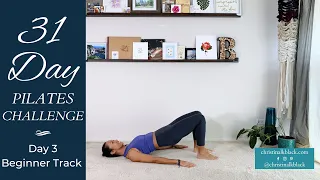 31 Day Pilates Challenge - Day 3 Beginner Track