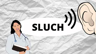 SLUCH - Anatomie ucha