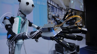 Will Robots Steal Our Jobs?