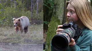 BROWN BEARS FINLAND // WILDLIFE PHOTOGRAPHY JOURNEY // STORY 44