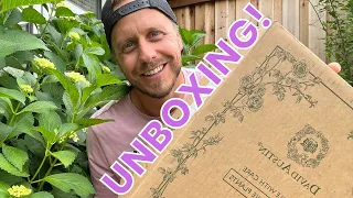 Unboxing David Austin Roses